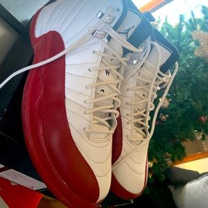 Air Jordan 12